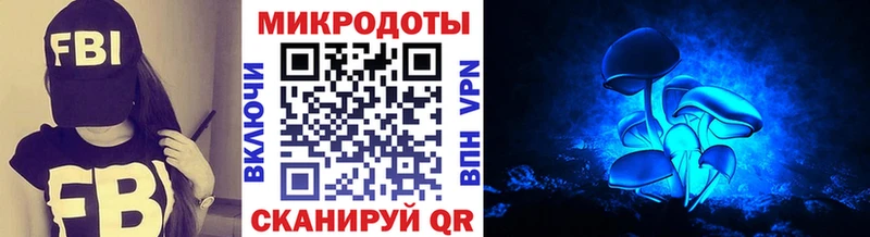 Галлюциногенные грибы мицелий Купить Черноголовка